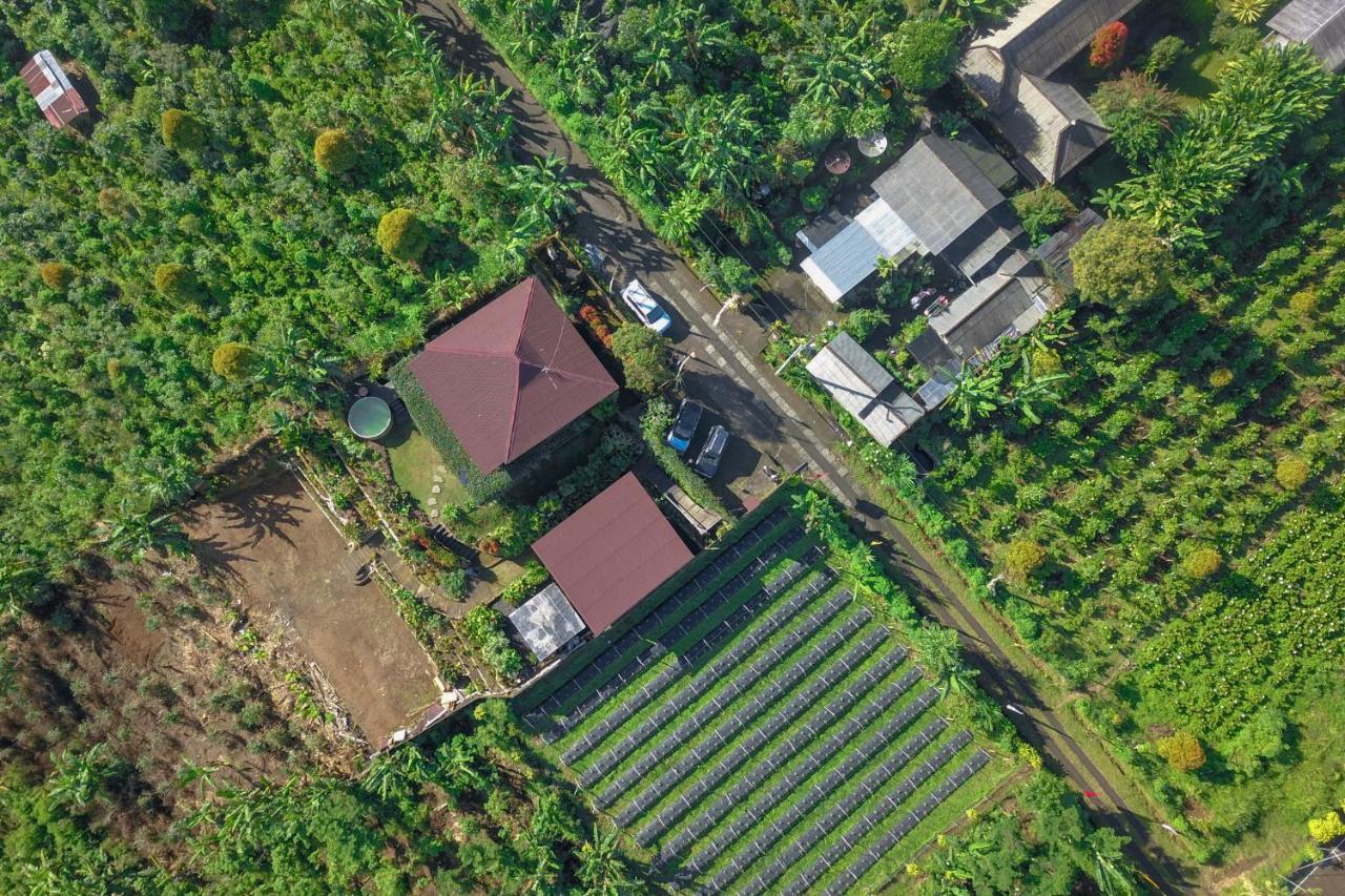 Kayukopi Villa Munduk  Luaran gambar